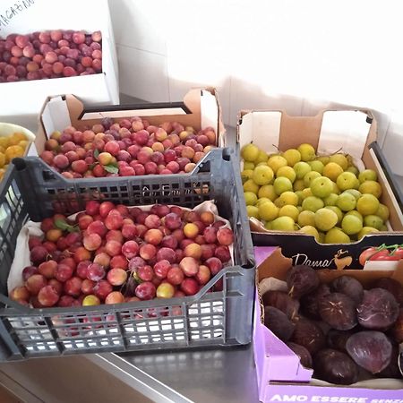 Locanda Dell'Amicizia セッケト エクステリア 写真