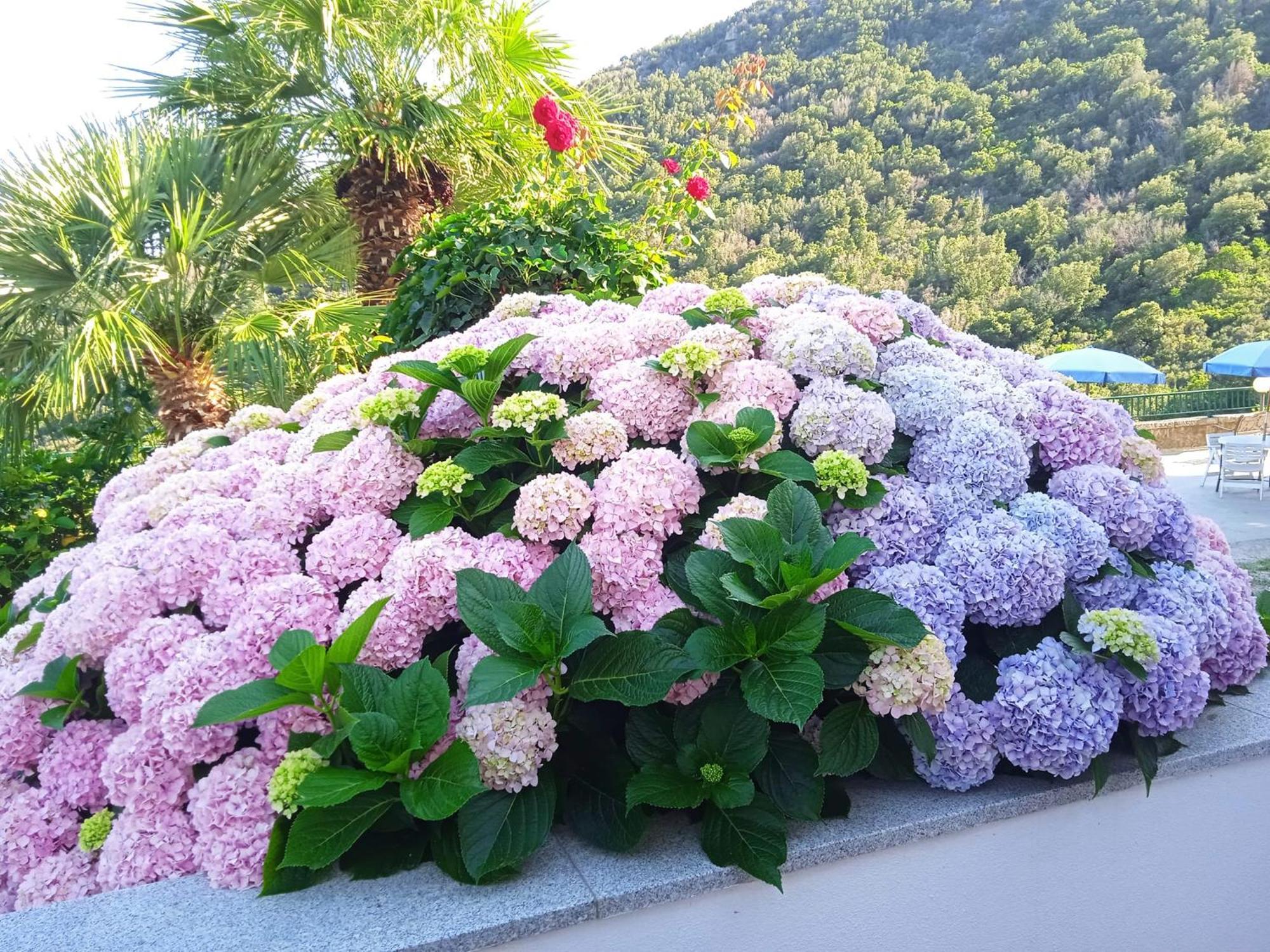 Locanda Dell'Amicizia セッケト エクステリア 写真
